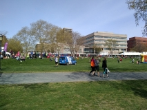 After Race Party