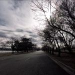 East Potomac Park by bike